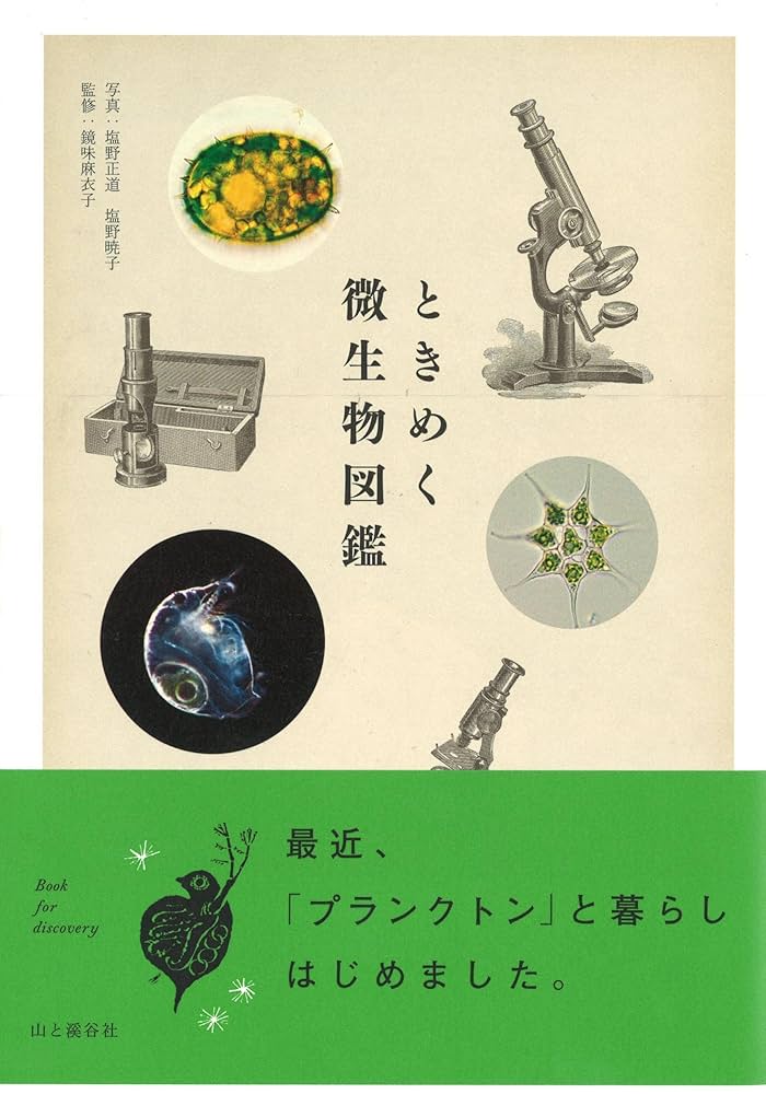 プランクトン 2018年 廃盤1stミニアルバム「微生物図鑑」帯なし プランクトン 2018年 廃盤1stミニアルバム「微生物図鑑」帯なし